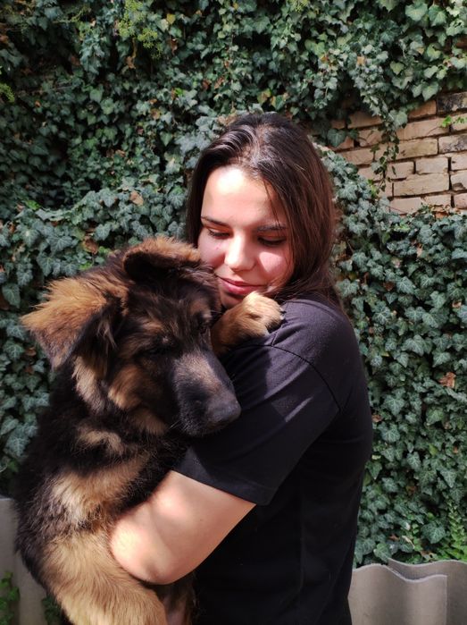 Дрессировка вашего питомца. Инструктор-Кинолог