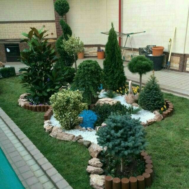 Gazon va gazonlarni olib kelib ekish, Daraxt va butalarni olib kelib e