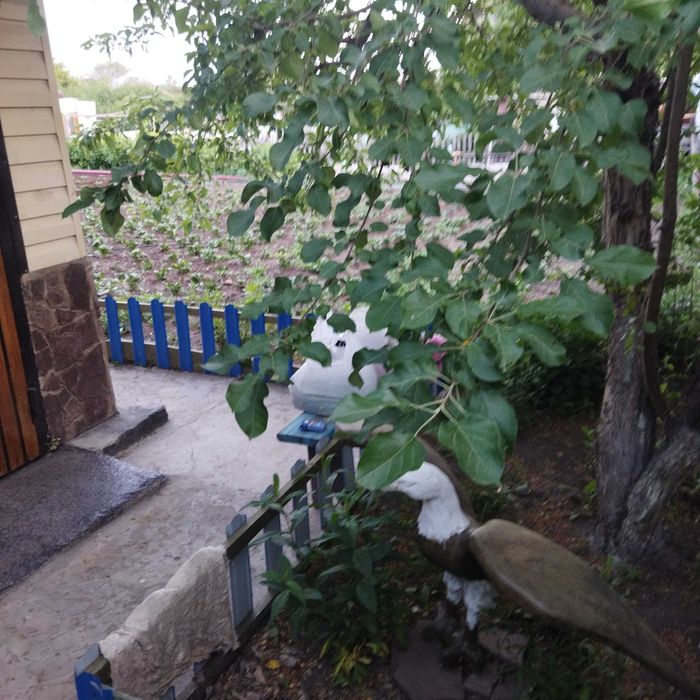 дача сортировка ..