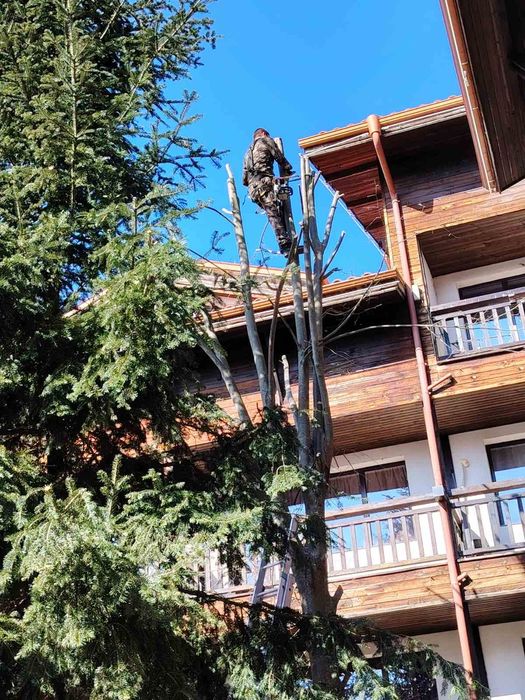 Рязане на опасни дървета в близост до сгради жици и други