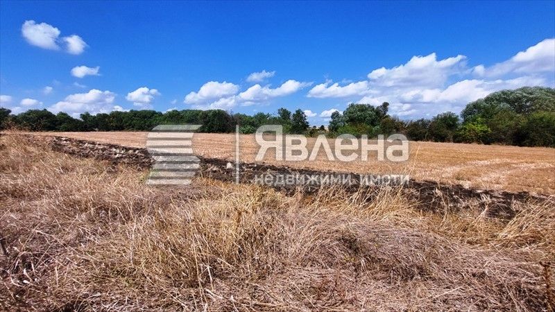 Продава се Парцел в Каблешково - 3000 кв.м за 25 €/кв.м - Снимка #2