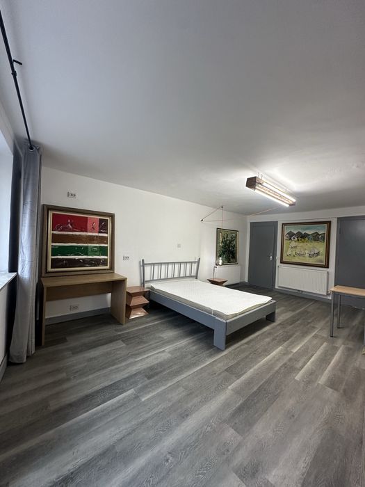 Garsoniera pet friendly, USAMV