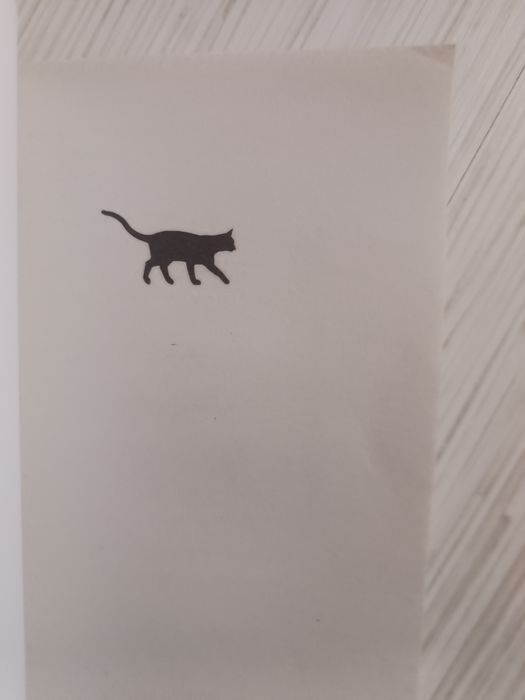 Если все кошки в мире исчезнут книга