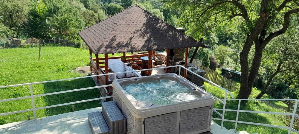 Casa la munte aproape de Paltinul