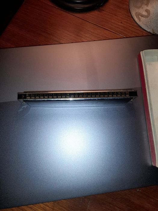 muzicuta chinezeasca