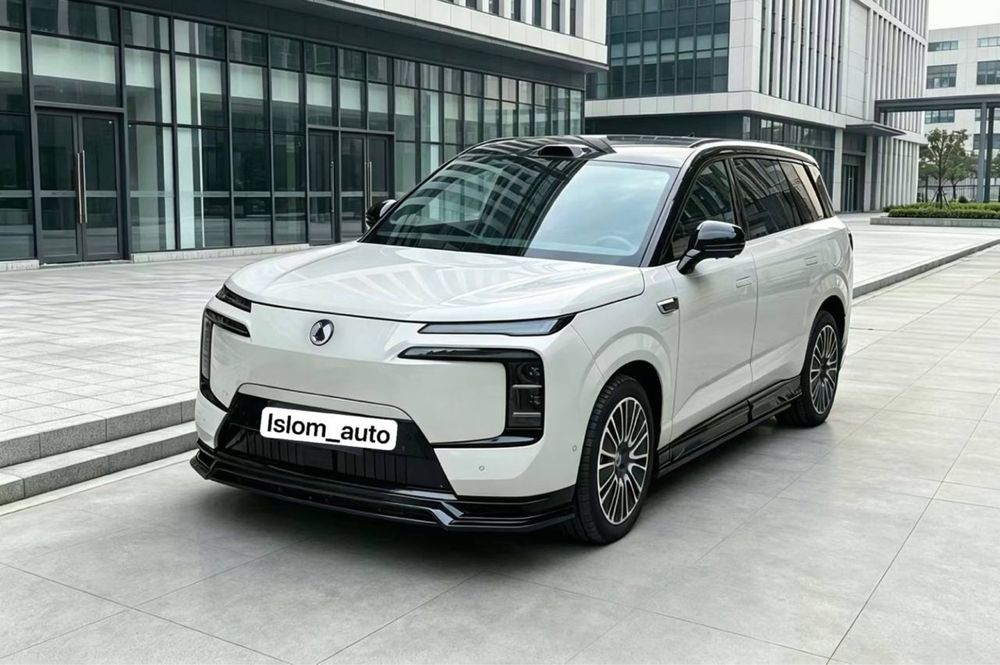 Denza N8L body kit