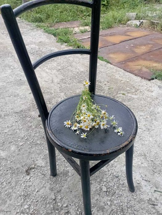 Стул старинный (раритет)