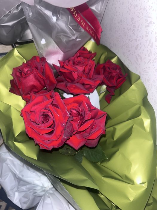 Продам цветы Б/У не дорого!