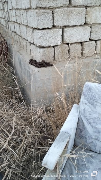 Мешіт ауылынан 2 Жер сатылады стройкасымен