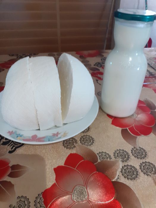 Vând brânză și lapte
