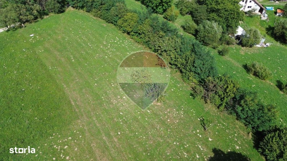 Teren 3,000mp Predelut / Strada Pe Tarina