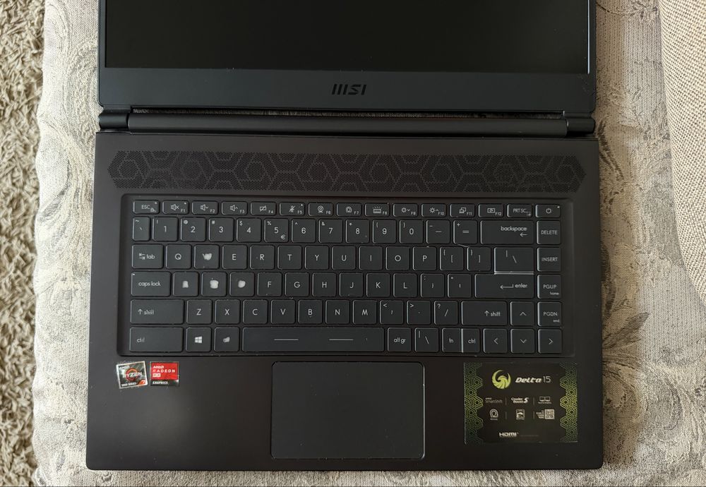 MSI Delta 15 Ryzen 7 5800H / RX 6700M / 32GB RAM – display defect