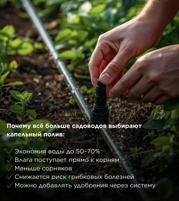 Установка капельного полива