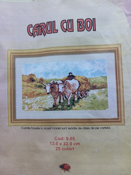 Diagrame cu ațe pentru goblen de Focșani