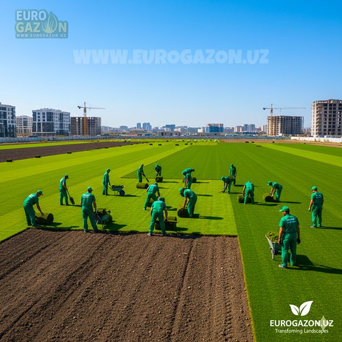 Rulon Gazon o’rnatamiz | укладка рулонного газона