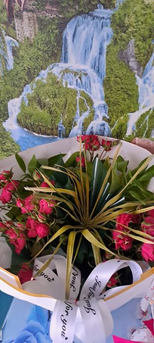 Срочно продам цветы