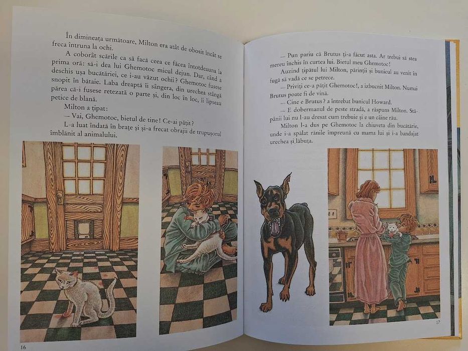 Secretul lui Milton (Robert S. Friedman, Eckhart Tolle)