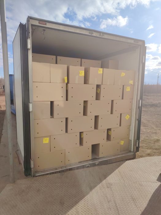 Яйцо куриное с1, со, с2.