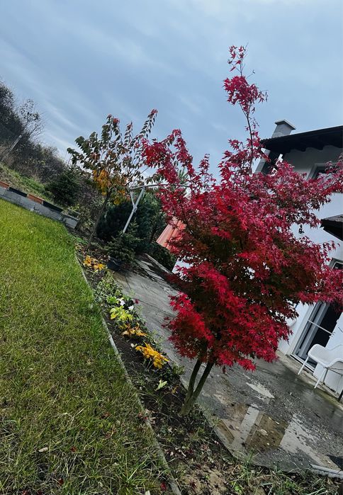 Casa Corunca Valea Iubirii