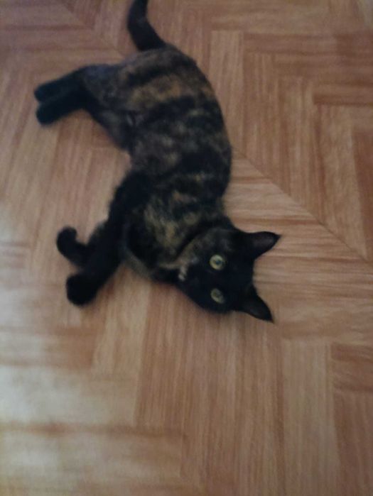 В самые ответственные руки