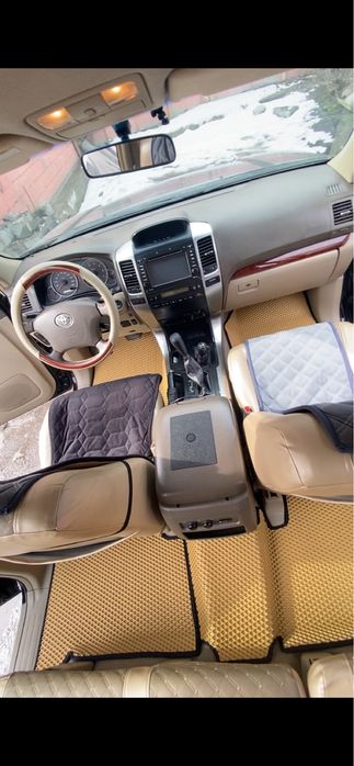 Ева полик, Эва полик