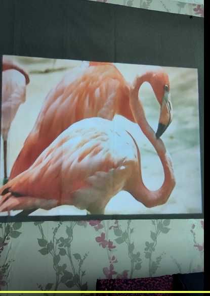 продаётся мини led проэктор