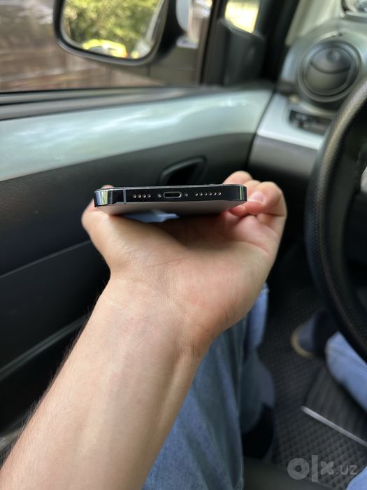 iPhone 13 Pro Max ideal