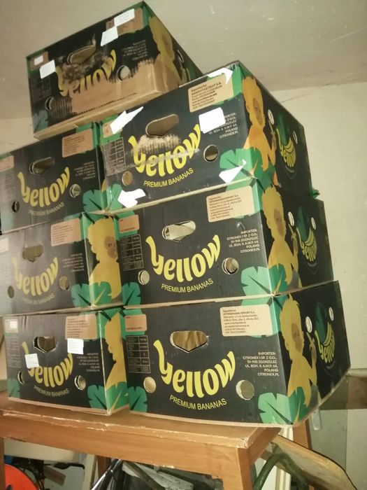 Baxuri de banane din carton