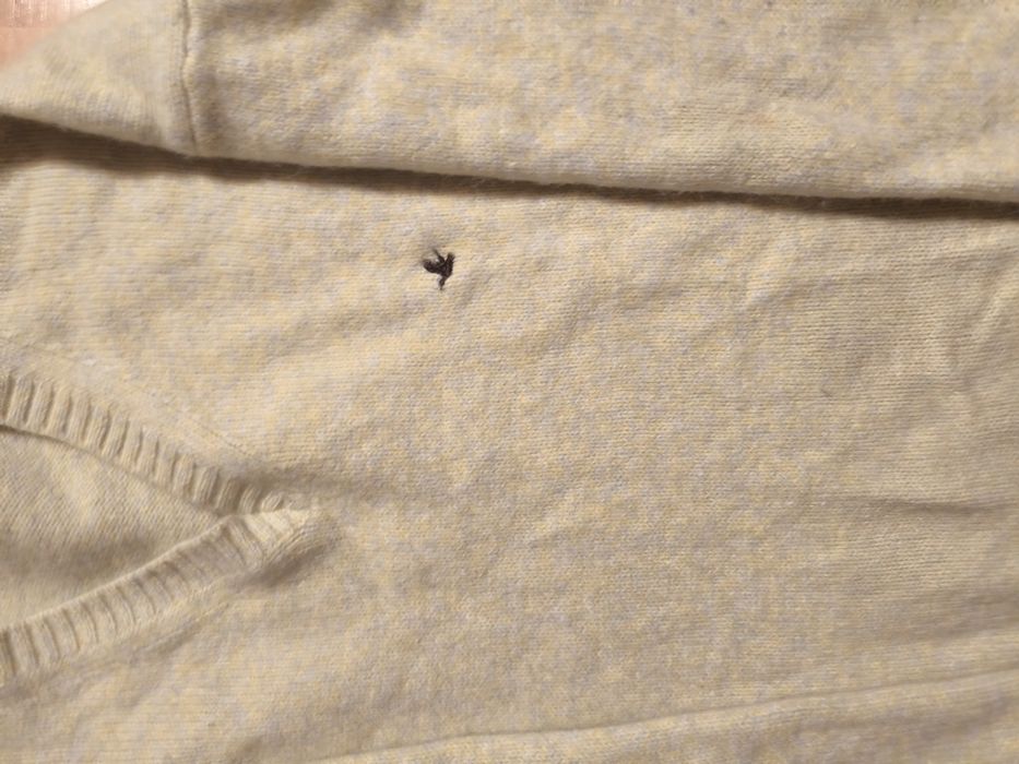 Pulover bărbați lână/angora Brooksfrield  XM(52)