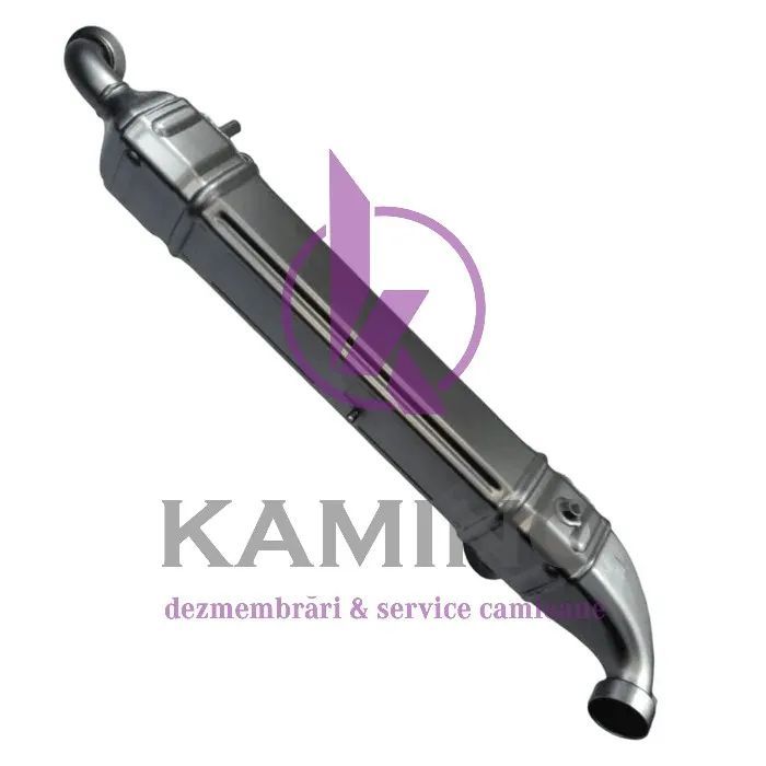 Racitor EGR DAF Euro 6 460