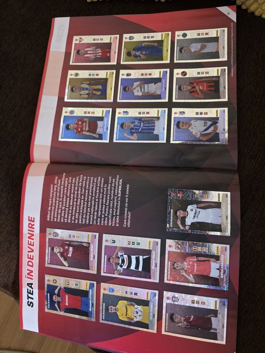 Vand album panini