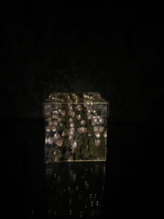 НОЧНИК ТЮЛЬПАН 3D Бесконечные тюльпан