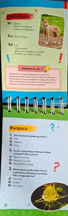 Забавна викторина