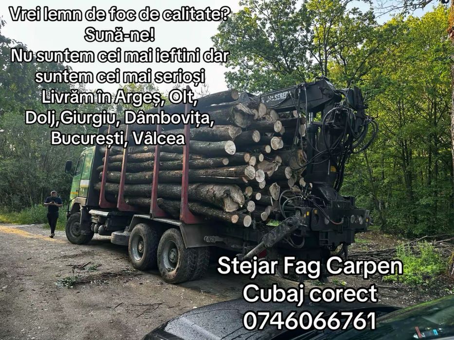 Lemne de foc FAG Salcam STEJAR carpen