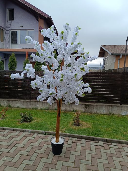 Vând decor evenimente
