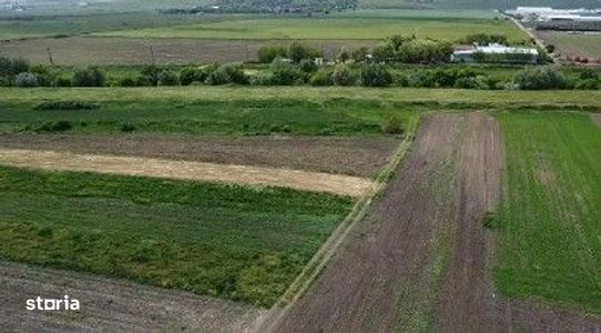Teren extravilan Banca, ID: R3198243
