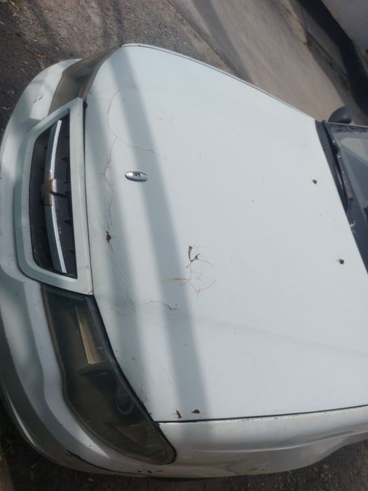 Дайво некси 2010ж