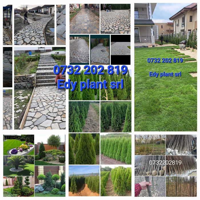 Gazon rulou sport, sisteme automatizate