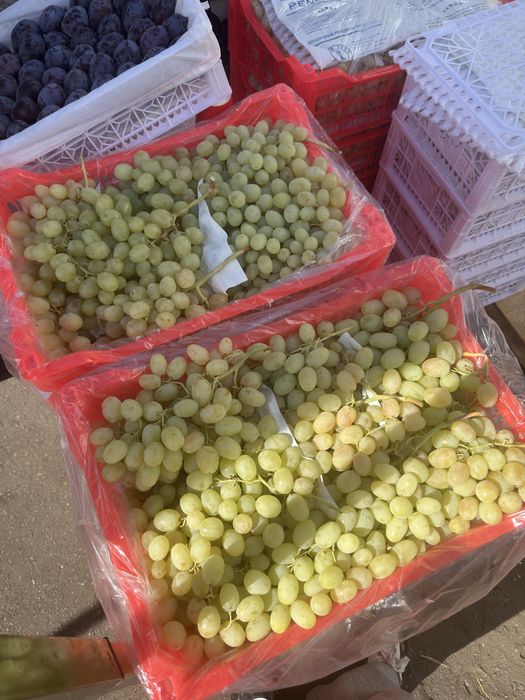 Оптом продажа виноград
