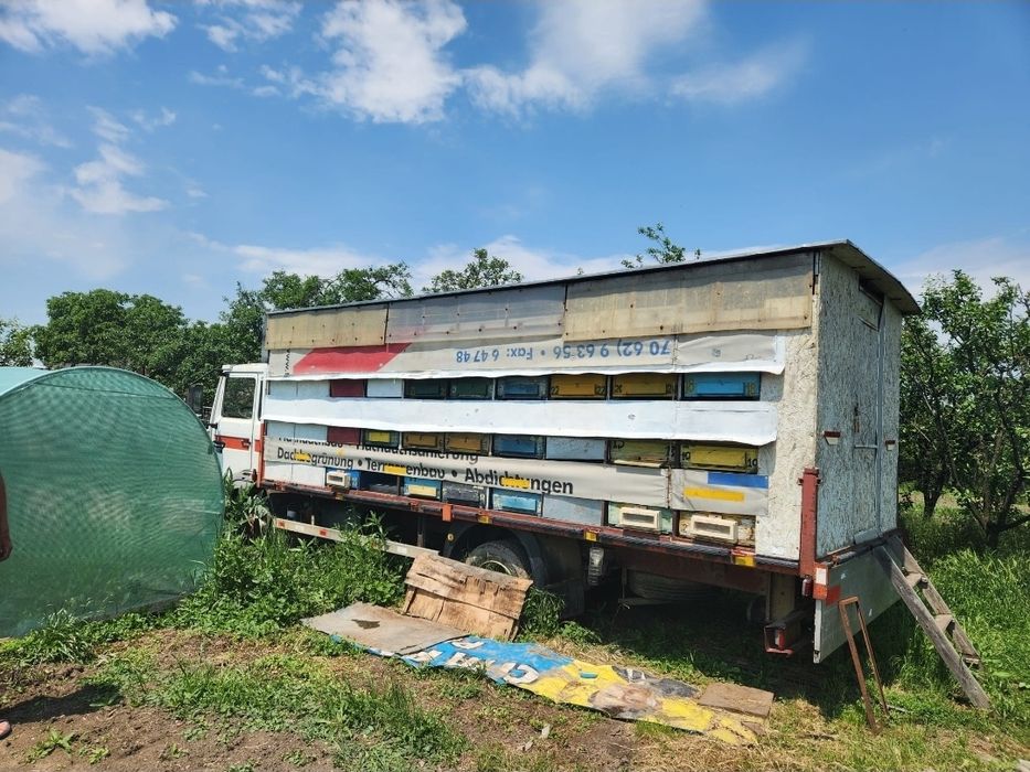 De vânzare camion apicol complet echipat + 50 de stupi cu familii de albine