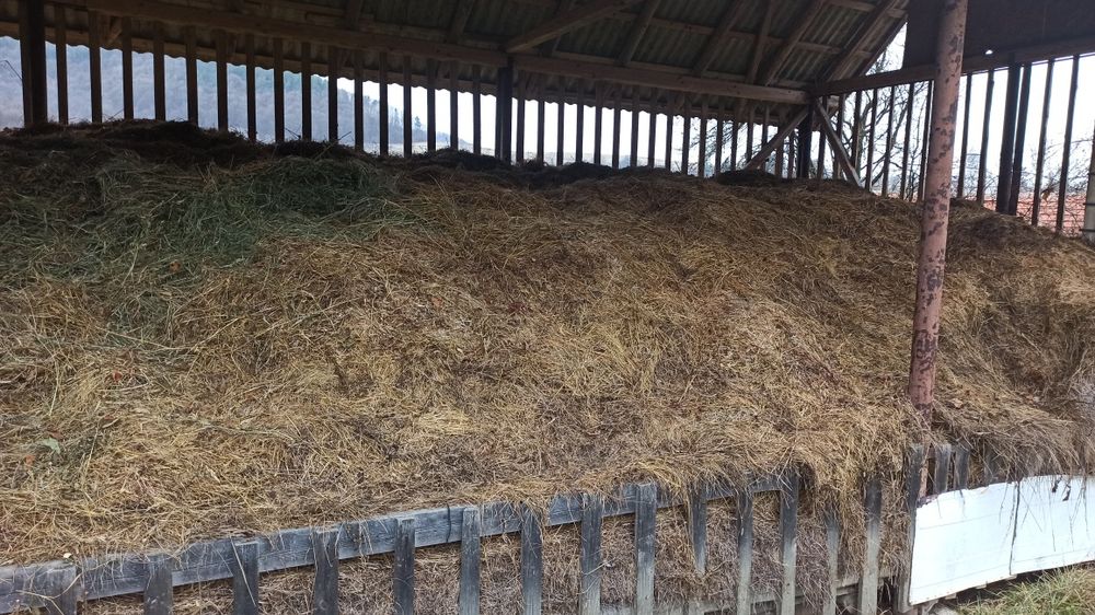 Fân și otavă din grădina casei!