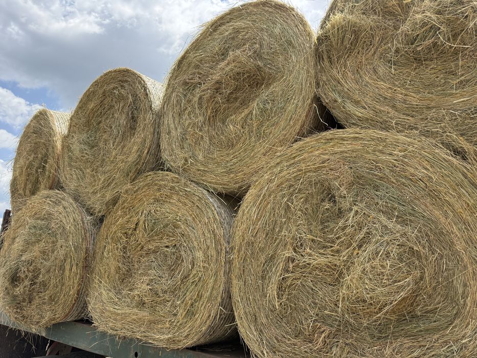 Рулонни бали люцерна,ливадно сено,просо,овес и др.!