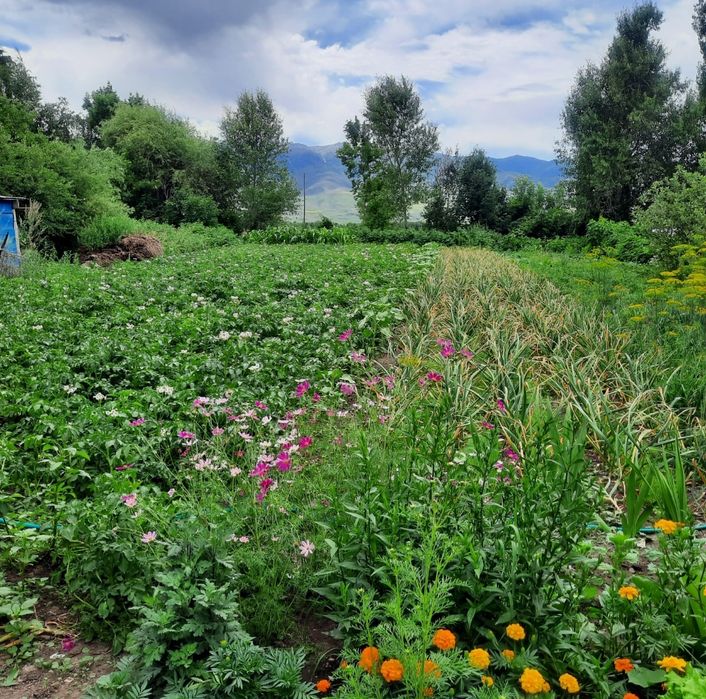 Продаётся дом в с.Шубар в Кербулакском районе