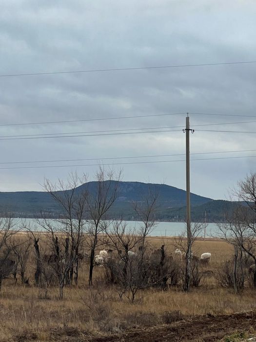 участок 42 соток