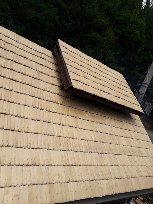 Sindrila/dranita de vanzare