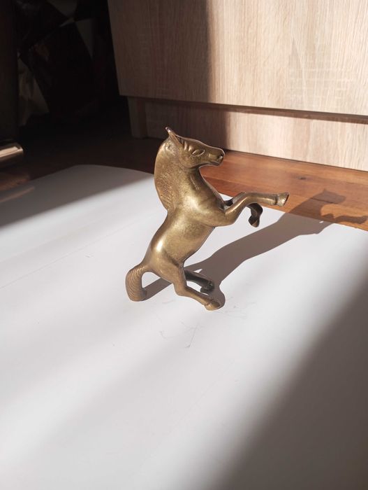 Красиво бронзово конче