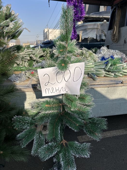 Елка по оптовой цене