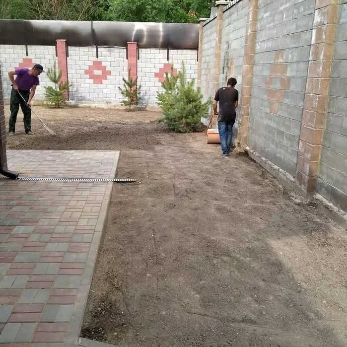 Озеленение участка посадка туй елей газон автополив