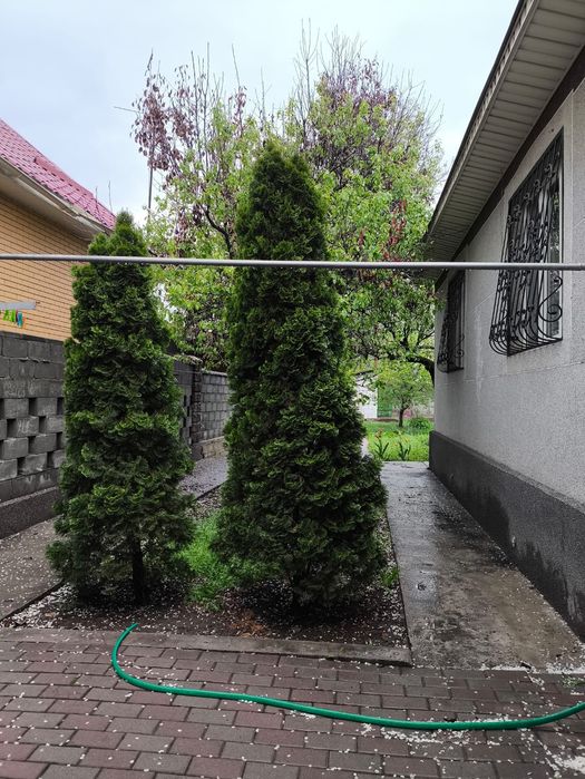 Срочно продам дом с большим участком