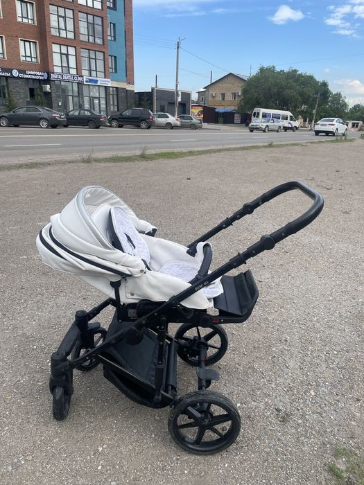 Коляска  Детская Adamex Remini